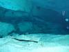 103 - Dive1-2 Cenote Chinki Ha