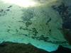 108 - Dive1-2 Cenote Chinki Ha