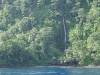 241 - Around Cocos