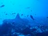106 - Dive4-2 Dos Amigos Pequena