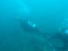 205 - 20160131 Australia Queenscliff Dive2