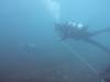 206 - 20160131 Australia Queenscliff Dive2