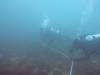 208 - 20160131 Australia Queenscliff Dive2