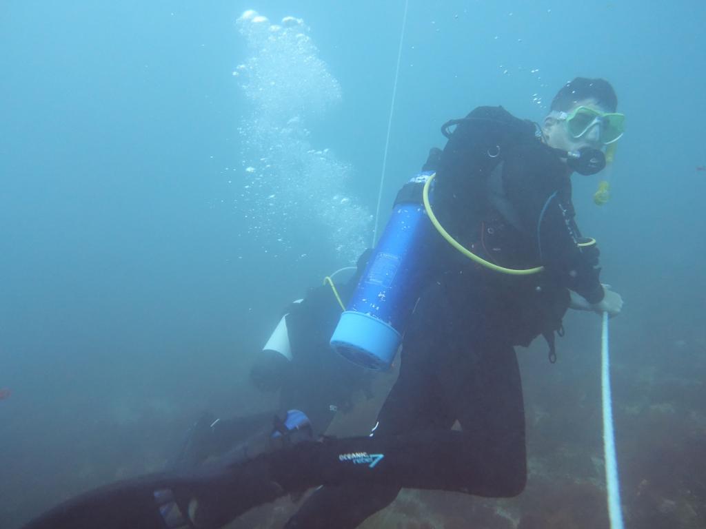 207 - 20160131 Australia Queenscliff Dive2