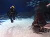 104 - 20160421 Singapore SEA Aquarium