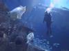 121 - 20160421 Singapore SEA Aquarium