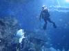 122 - 20160421 Singapore SEA Aquarium