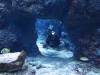 125 - 20160421 Singapore SEA Aquarium