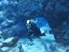 127 - 20160421 Singapore SEA Aquarium