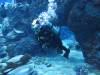 128 - 20160421 Singapore SEA Aquarium