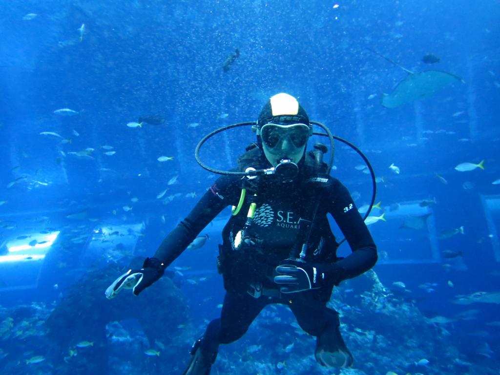 113 - 20160421 Singapore SEA Aquarium
