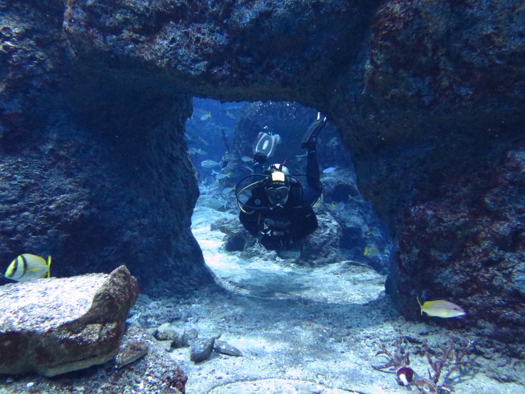 125 - 20160421 Singapore SEA Aquarium