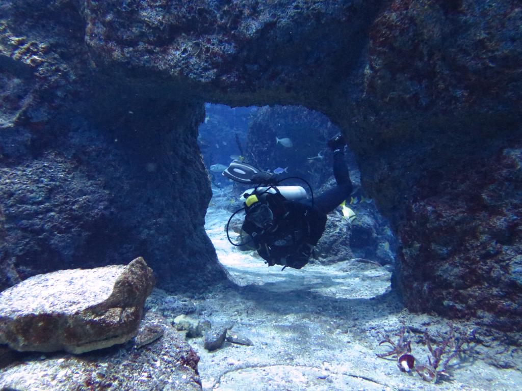 126 - 20160421 Singapore SEA Aquarium