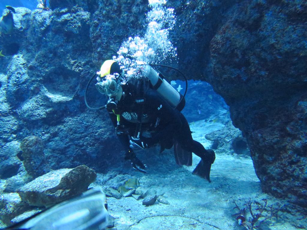 128 - 20160421 Singapore SEA Aquarium