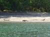 100 - 20160429 Komodo-Beach