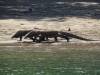 105 - 20160429 Komodo-Beach