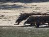 106 - 20160429 Komodo-Beach