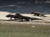 113 - 20160429 Komodo-Beach