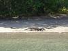 119 - 20160429 Komodo-Beach