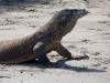 130 - 20160429 Komodo-Beach
