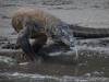138 - 20160429 Komodo-Beach