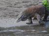 142 - 20160429 Komodo-Beach