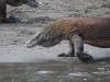 143 - 20160429 Komodo-Beach