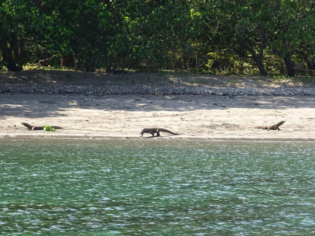 20160429 - Komodo-Beach-100 20160429 Komodo-Beach