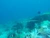 158 - Dive3-3 Tatawa Besar
