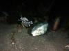 108 - Dive5-4N Torpedo Alley
