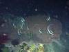 109 - Dive5-4N Torpedo Alley