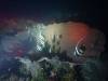 110 - Dive5-4N Torpedo Alley