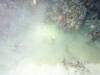 105 - Dive6-4 Gili Lawa Darat