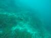 200 - 20171023 Hamilton Island Whitsundays GBR Platform Dive2