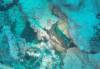 205 - 20171023 Hamilton Island Whitsundays GBR Platform Dive2
