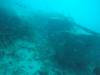 208 - 20171023 Hamilton Island Whitsundays GBR Platform Dive2