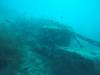 209 - 20171023 Hamilton Island Whitsundays GBR Platform Dive2