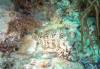 300 - 20171023 Hamilton Island Whitsundays GBR Platform Dive3