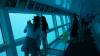 515 - 20171023 Hamilton Island Whitsundays GBR Platform