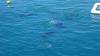 531 - 20171023 Hamilton Island Whitsundays GBR Platform