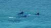 540 - 20171023 Hamilton Island Whitsundays GBR Platform