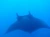 Dive1-4 El Cannon-119 Dive1-4 El Cannon