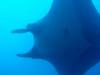 Dive1-4 El Cannon-122 Dive1-4 El Cannon