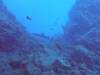 103 - Dive1-1 El Cannon