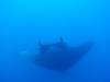 114 - Dive1-4 El Cannon