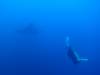 124 - Dive1-4 El Cannon
