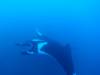 138 - Dive1-4 El Cannon