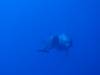 124 - Dive2-1 El Boiler