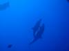 126 - Dive2-1 El Boiler
