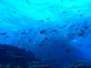 143 - Dive2-1 El Boiler